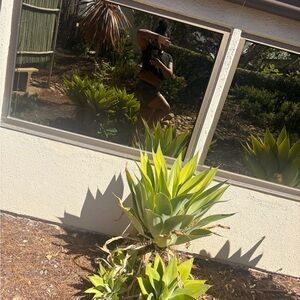 lululemon athletica Green Athletic Shorts